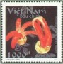 植物:亚洲:越南:vn199603.jpg