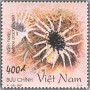 植物:亚洲:越南:vn200102.jpg