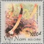 植物:亚洲:越南:vn200107.jpg