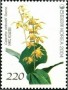 植物:亚洲:韩国:kr200403.jpg