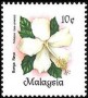 植物:亚洲:马来西亚:my198401.jpg