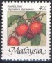 植物:亚洲:马来西亚:my198601.jpg