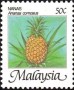 植物:亚洲:马来西亚:my198602.jpg