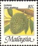 植物:亚洲:马来西亚:my198603.jpg