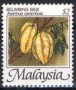 植物:亚洲:马来西亚:my198605.jpg