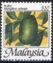 植物:亚洲:马来西亚:my198607.jpg