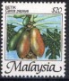 植物:亚洲:马来西亚:my198608.jpg