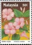 植物:亚洲:马来西亚:my199003.jpg