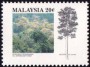 植物:亚洲:马来西亚:my199201.jpg