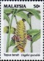 植物:亚洲:马来西亚:my199303.jpg