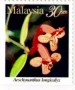 植物:亚洲:马来西亚:my199702.jpg
