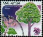 植物:亚洲:马来西亚:my199915.jpg