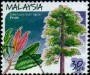 植物:亚洲:马来西亚:my199916.jpg