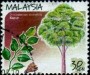 植物:亚洲:马来西亚:my199917.jpg