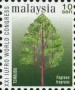 植物:亚洲:马来西亚:my200006.jpg