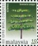 植物:亚洲:马来西亚:my200008.jpg