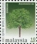 植物:亚洲:马来西亚:my200010.jpg