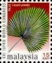 植物:亚洲:马来西亚:my200015.jpg