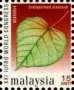 植物:亚洲:马来西亚:my200016.jpg