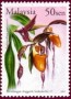 植物:亚洲:马来西亚:my200208.jpg