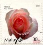 植物:亚洲:马来西亚:my200301.jpg