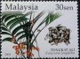 植物:亚洲:马来西亚:my200401.jpg