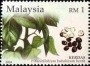 植物:亚洲:马来西亚:my200403.jpg