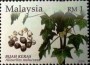 植物:亚洲:马来西亚:my200404.jpg