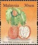 植物:亚洲:马来西亚:my200601.jpg