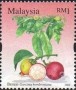植物:亚洲:马来西亚:my200603.jpg