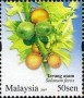 植物:亚洲:马来西亚:my200701.jpg