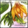 植物:亚洲:马来西亚:my200801.jpg