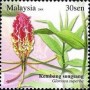 植物:亚洲:马来西亚:my200802.jpg
