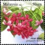植物:亚洲:马来西亚:my200803.jpg