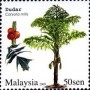 植物:亚洲:马来西亚:my200902.jpg
