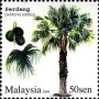 植物:亚洲:马来西亚:my200903.jpg