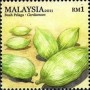 植物:亚洲:马来西亚:my201103.jpg