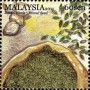 植物:亚洲:马来西亚:my201104.jpg