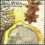植物:亚洲:马来西亚:my201108.jpg