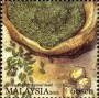 植物:亚洲:马来西亚:my201109.jpg