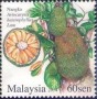 植物:亚洲:马来西亚:my201401.jpg