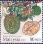 植物:亚洲:马来西亚:my201402.jpg