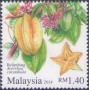 植物:亚洲:马来西亚:my201404.jpg