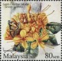 植物:亚洲:马来西亚:my201604.jpg