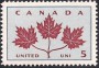 植物:北美洲:加拿大:ca196401.jpg