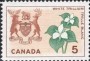 植物:北美洲:加拿大:ca196402.jpg