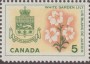 植物:北美洲:加拿大:ca196403.jpg