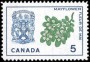 植物:北美洲:加拿大:ca196404.jpg