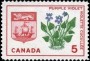 植物:北美洲:加拿大:ca196405.jpg