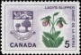 植物:北美洲:加拿大:ca196408.jpg